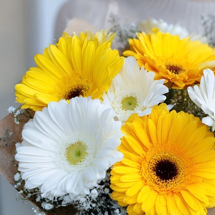 Красивый букет из гербер