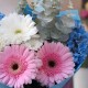 Букет 3 герберы с хризантемой