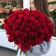 Букет 51 красная роза Кения